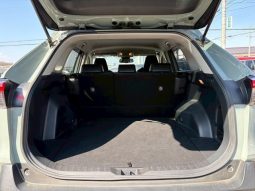 TOYOTA RAV4 ADVENTURE 2020 full