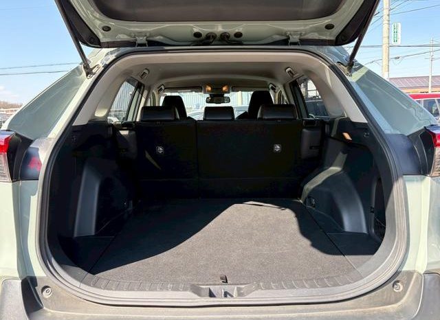 TOYOTA RAV4 ADVENTURE 2020 full