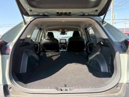 TOYOTA RAV4 ADVENTURE 2020 full