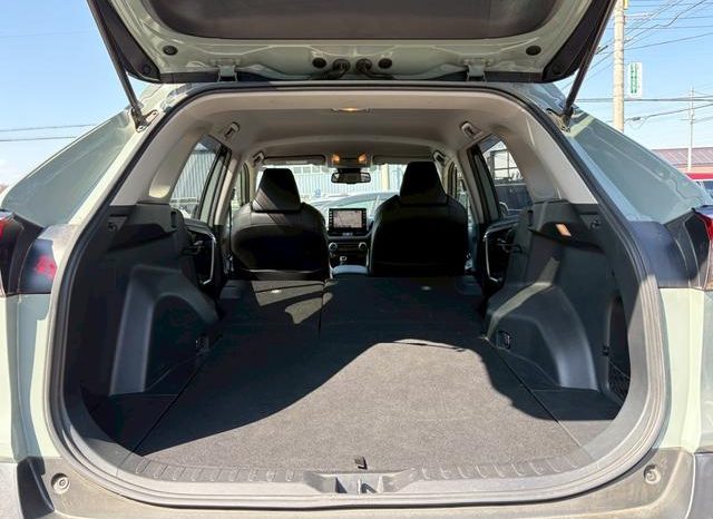 TOYOTA RAV4 ADVENTURE 2020 full