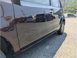 TOYOTA PASSO PLUS HANA C PACKAGE 2010 full