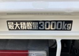 HINO DUTRO 2WD 3 Tonner 2019 full