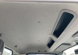 HINO DUTRO 2WD 3 Tonner 2019 full