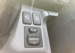 HINO DUTRO 2WD 3 Tonner 2019 full