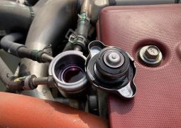 HINO DUTRO 2WD 3 Tonner 2019 full