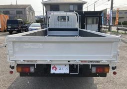 HINO DUTRO 2WD 3 Tonner 2019 full