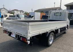 HINO DUTRO 2WD 3 Tonner 2019 full