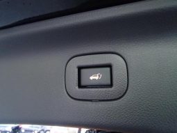 NISSAN ELGRAND 250HIGHWAY STAR S JET BLACK URBAN CHROME 2020 full