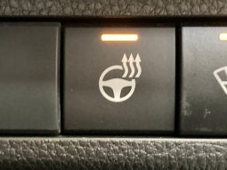 TOYOTA RAV4 ADVENTURE 2019 full