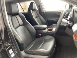 TOYOTA RAV4 ADVENTURE 2019 full