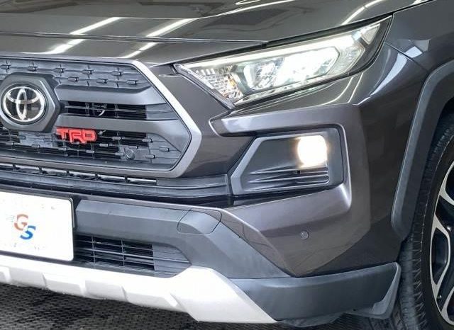 TOYOTA RAV4 ADVENTURE 2019 full