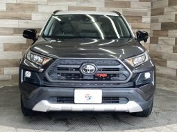 TOYOTA RAV4 ADVENTURE 2019 full