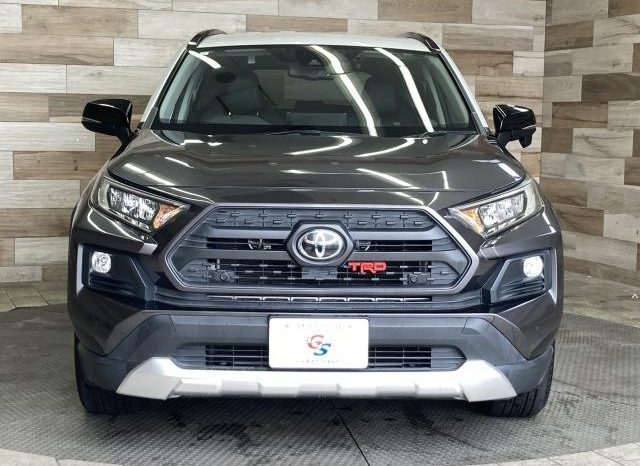 TOYOTA RAV4 ADVENTURE 2019 full