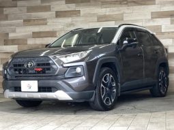 TOYOTA RAV4 ADVENTURE 2019