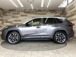 TOYOTA RAV4 ADVENTURE 2019 full