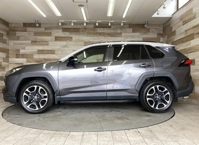 TOYOTA RAV4 ADVENTURE 2019 full