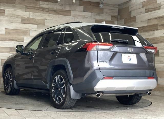 TOYOTA RAV4 ADVENTURE 2019 full