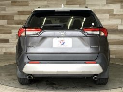 TOYOTA RAV4 ADVENTURE 2019 full