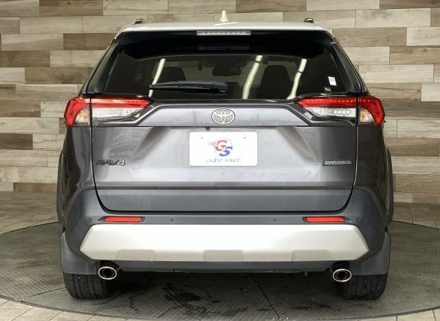 TOYOTA RAV4 ADVENTURE 2019 full