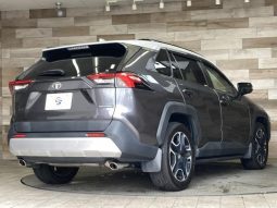 TOYOTA RAV4 ADVENTURE 2019 full