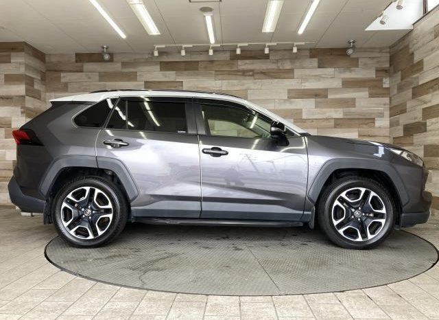 TOYOTA RAV4 ADVENTURE 2019 full
