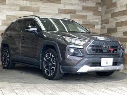 TOYOTA RAV4 ADVENTURE 2019 full