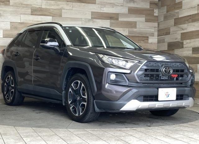 TOYOTA RAV4 ADVENTURE 2019 full