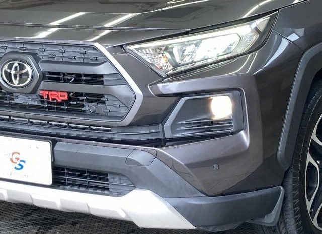 TOYOTA RAV4 ADVENTURE 2019 full
