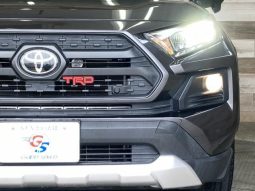 TOYOTA RAV4 ADVENTURE 2019 full