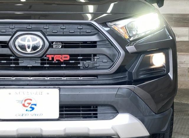TOYOTA RAV4 ADVENTURE 2019 full