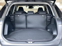 TOYOTA RAV4 ADVENTURE 2019 full
