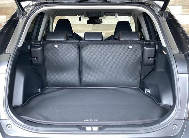 TOYOTA RAV4 ADVENTURE 2019 full