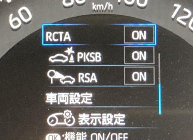 TOYOTA RAV4 ADVENTURE 2019 full
