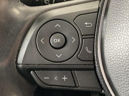 TOYOTA RAV4 ADVENTURE 2019 full
