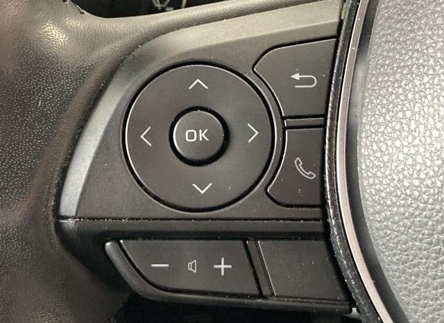 TOYOTA RAV4 ADVENTURE 2019 full