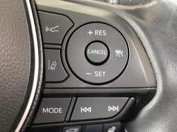 TOYOTA RAV4 ADVENTURE 2019 full
