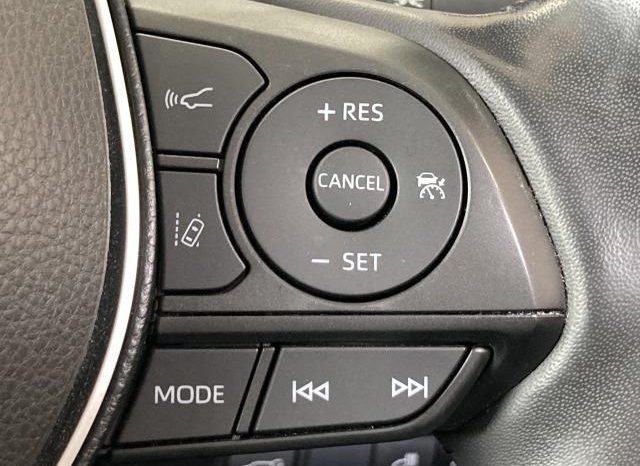 TOYOTA RAV4 ADVENTURE 2019 full
