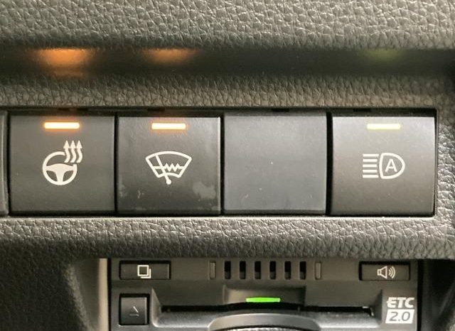 TOYOTA RAV4 ADVENTURE 2019 full