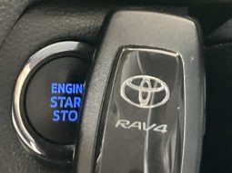 TOYOTA RAV4 ADVENTURE 2019 full