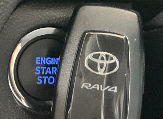 TOYOTA RAV4 ADVENTURE 2019 full