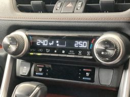 TOYOTA RAV4 ADVENTURE 2019 full