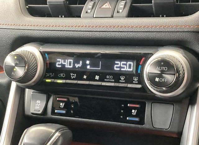TOYOTA RAV4 ADVENTURE 2019 full