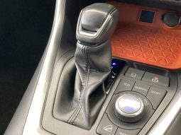 TOYOTA RAV4 ADVENTURE 2019 full
