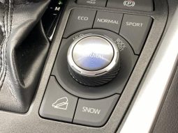 TOYOTA RAV4 ADVENTURE 2019 full