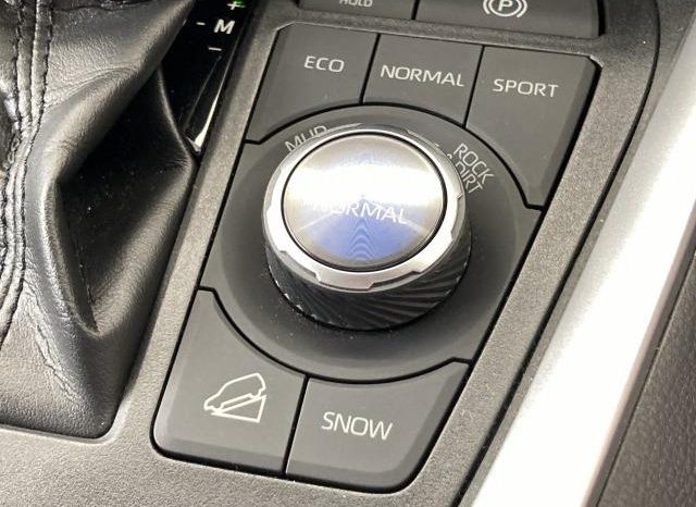 TOYOTA RAV4 ADVENTURE 2019 full