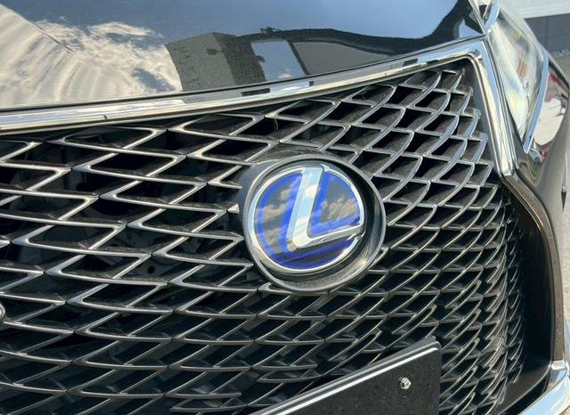 LEXUS RX RX450H F SPORT 2020 full