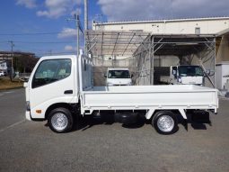 TOYOTA DYNA TRUCK 2019 full