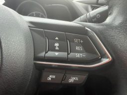 MAZDA DEMIO XD TOURING L PACKAGE 2018 full