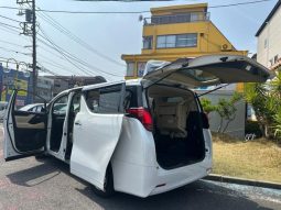 TOYOTA ALPHARD 2.5X 2018 full