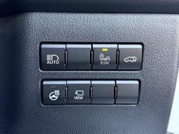 Lexus NX NX300 F Sport 2018 full